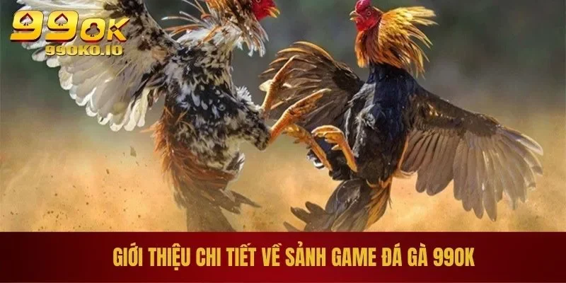 Giới thiệu chi tiết về sảnh game đá gà 99OK